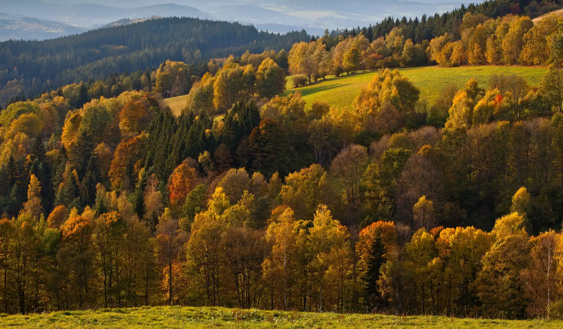 Šumavská krajina