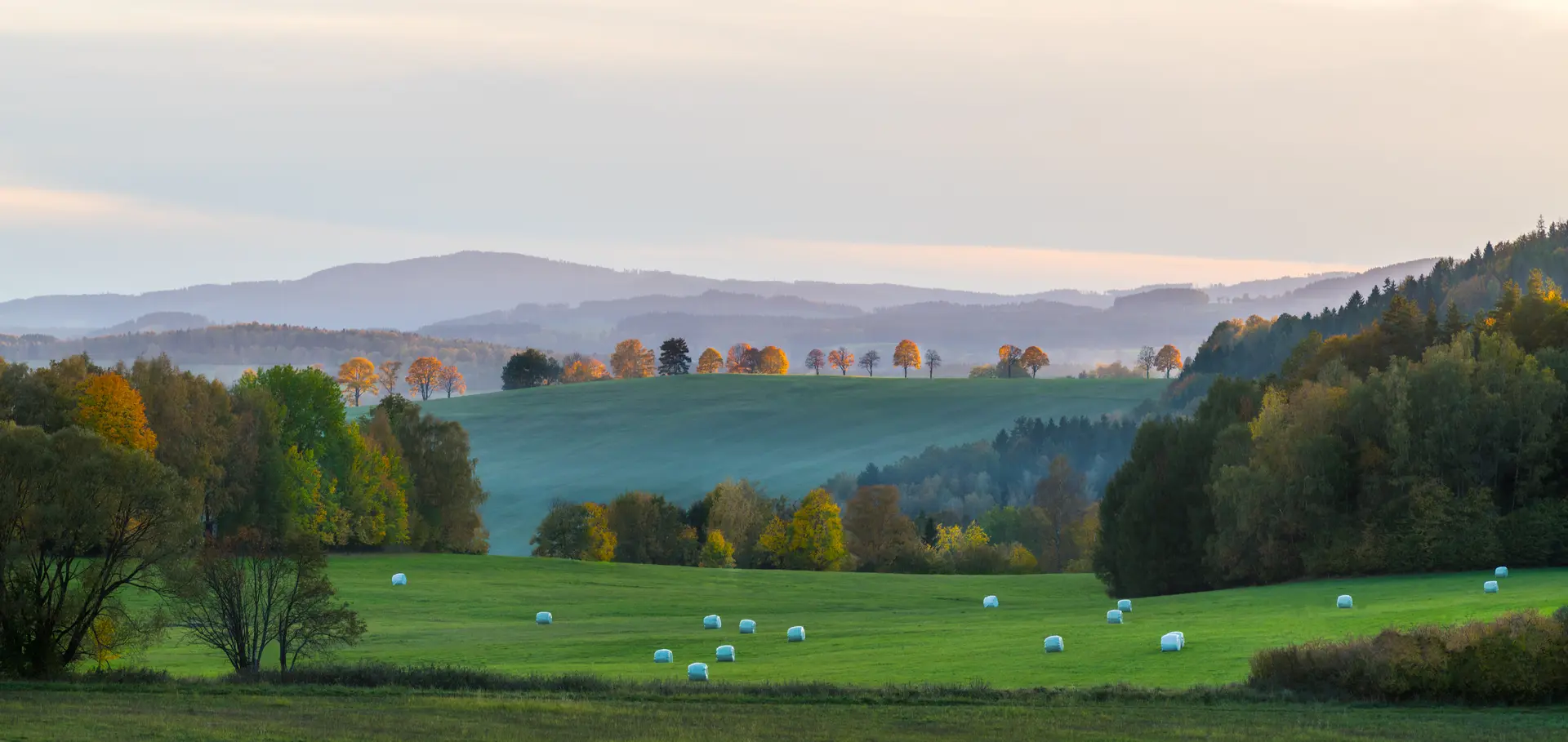 Horské rašeliniště