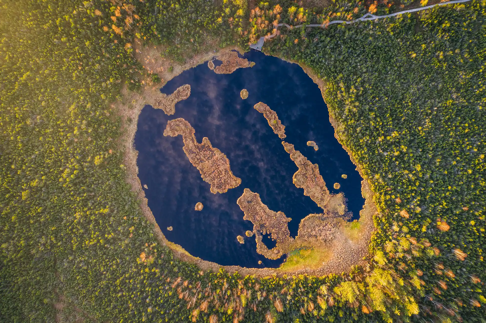 Národní park Šumava