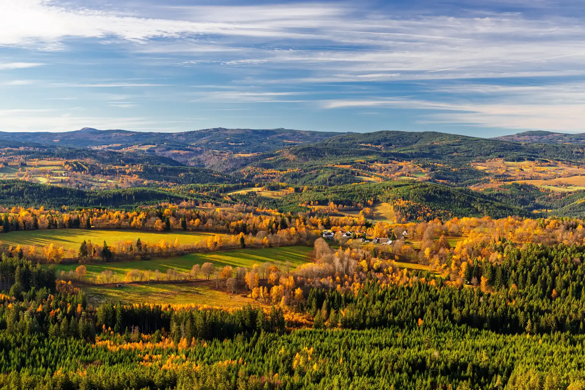 Lesy Národního parku Šumava