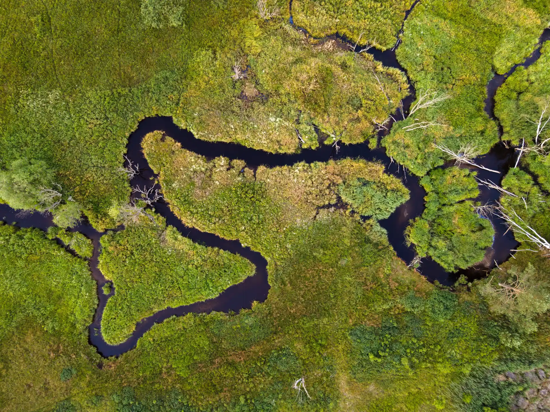 Horská krajina Šumavy